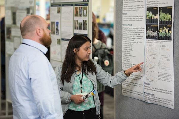 Student and professor looking at a poster
